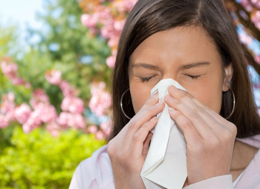 Las alergias más comunes